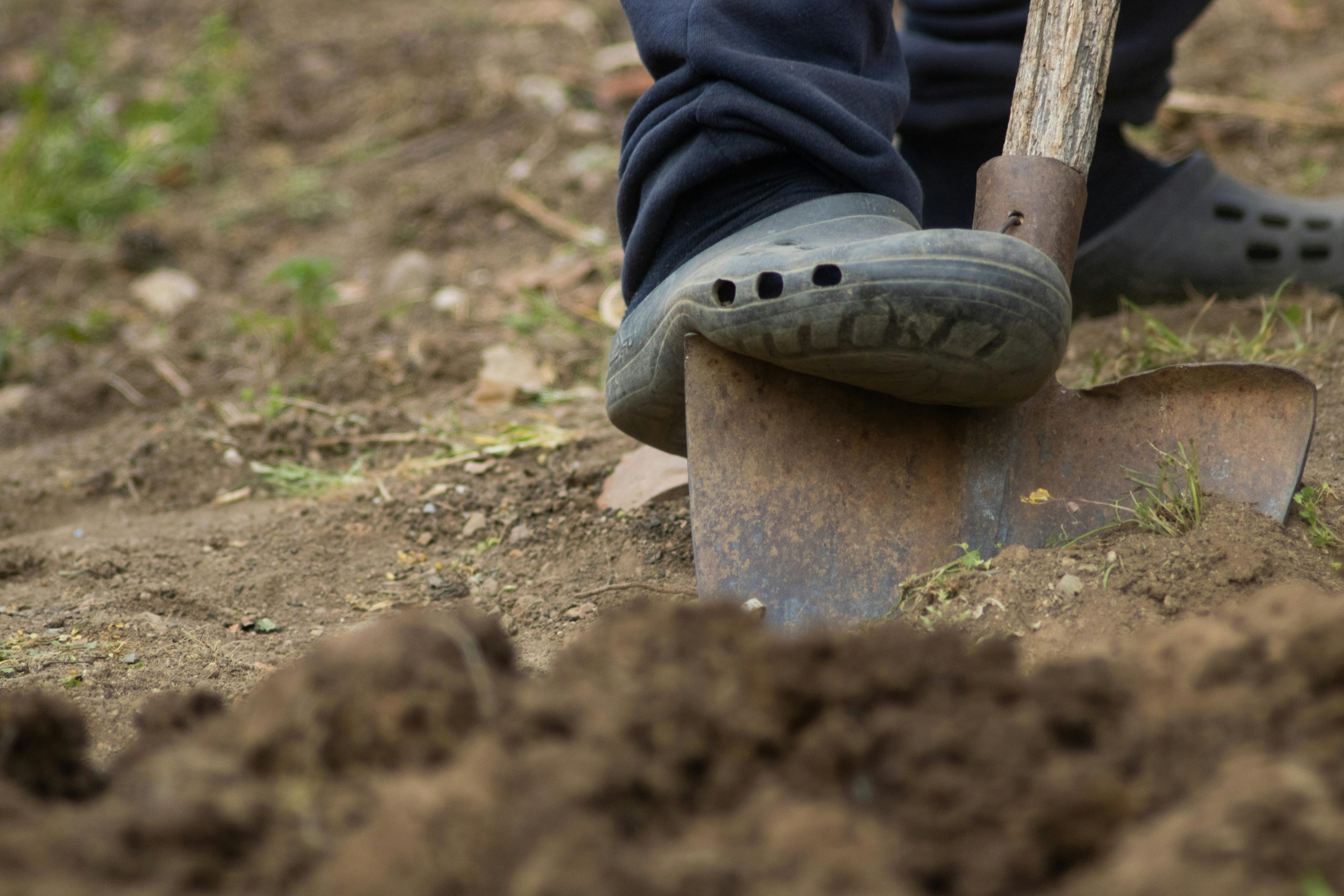 foot pressing a shovel into soil